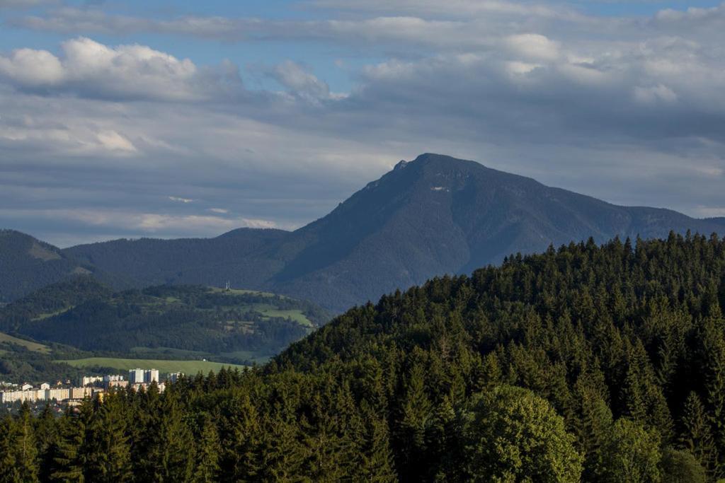 Apartman Kubinska 33 Dolny Kubin Buitenkant foto